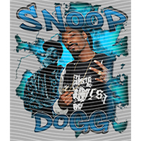 idol singer-GS  1493